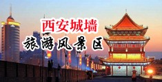 插插水紧在线中国陕西-西安城墙旅游风景区